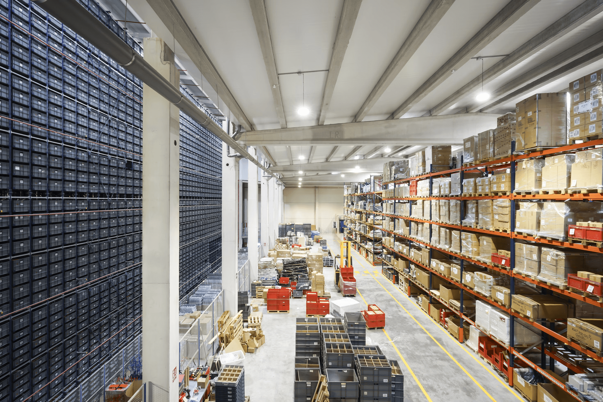 NetSuite Order Management Automation: How Evolinq Cuts PO Processing by 80%